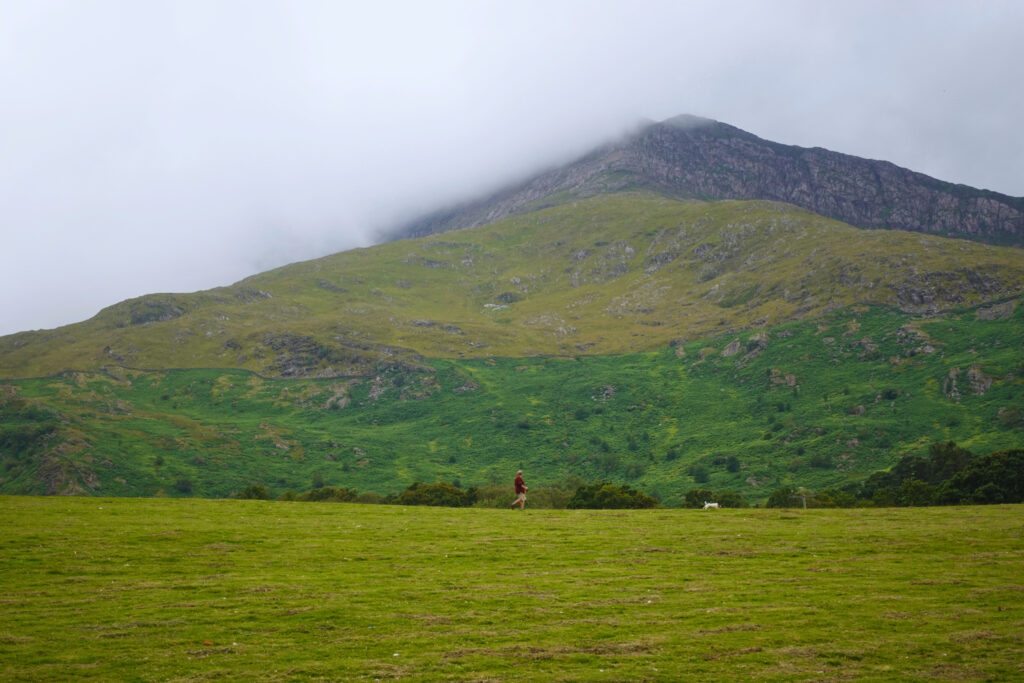 Person with dog in front of mountain